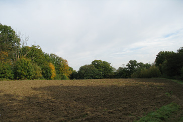 Kleinschalige landbouw