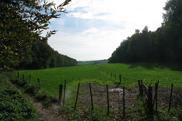 Uitzicht over het dal