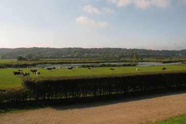 Natuurontwikkeling 't Zwanenbroekje