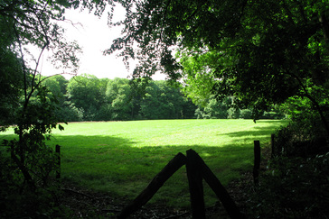 Kleinschalige weilanden