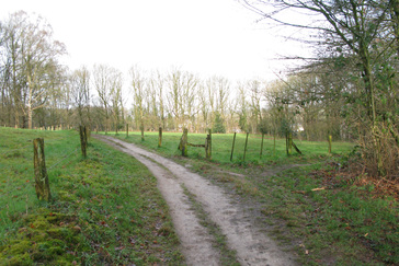 Tussen de weilanden door