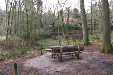 Kastanjedal bij de Kabouterboom Kastanjedal bij de Kabouterboom