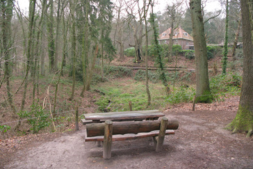 Kastanjedal bij de Kabouterboom