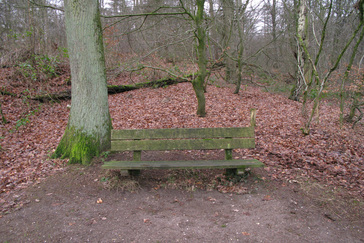 Langs de heuvels van Ubbergen Langs de heuvels van Ubbergen