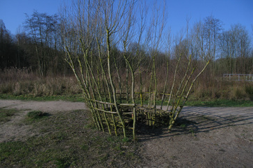 Bankje van wilgentenen