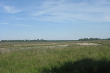 Geplagde Heide