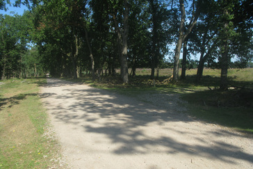 Grote Heide