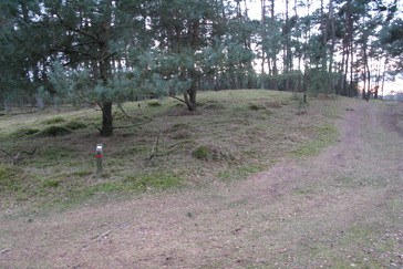 Vastgelegde zandduinen