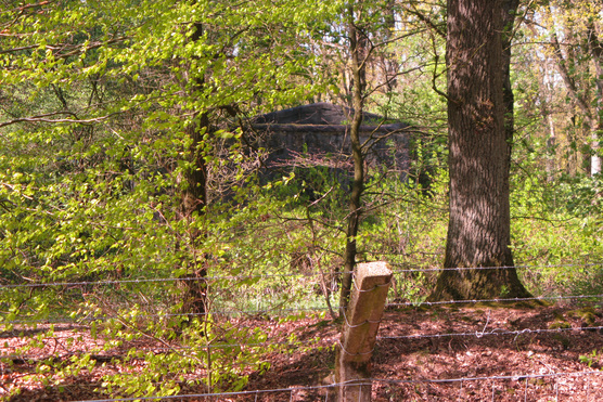 Bunker Vliegveld Deelen