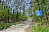Snelweg A50 (Doorwerth)