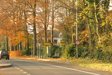 Bushalte Rhienderinklaan