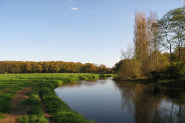 Landschap rondom de Berkel