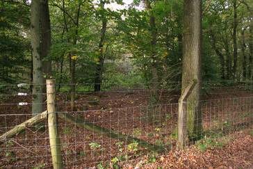 Bunker Vliegveld Deelen