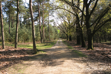 Markering oude wegen