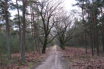Markering oude wegen