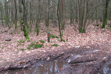 Knooppunt de Bruine Berg