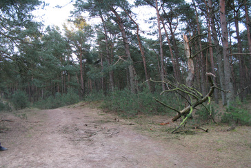 Rustgebied voor het wild