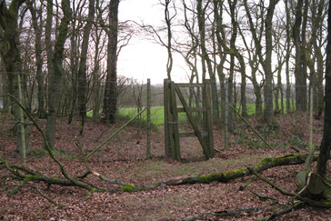 Uitzichtpunt