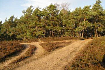 Uitzicht over  de Kleine Heide