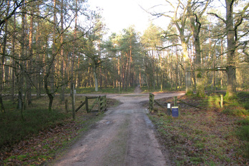 Knooppunt zwijnenraster