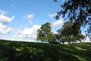 Drenkelingenhof Drenkelingenhof