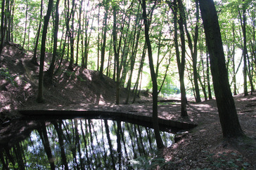 Vijvers barokke as Vijvers barokke as