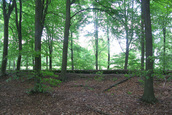 Aanvoerkanaal (Kraggenburg)