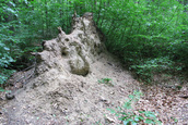 Leem in de bodem (Kraggenburg)