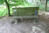 Libelle bank (Kraggenburg)