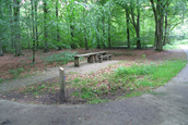 Picknickbank Waterloopbos (Kraggenburg)