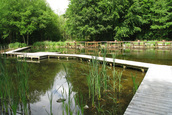 Model 1183 haven in Libië (Kraggenburg)