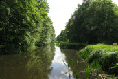 Aanvoerkanalen (Kraggenburg)