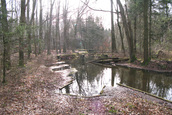 Havenbekkens (Kraggenburg)