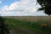 Uitzicht over de Oostvaardersplassen (Lelystad)