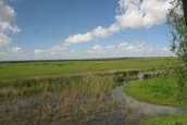 Vogel observatie punt Zeearend (Lelystad)