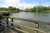 Brug over de plas (Lelystad)