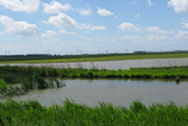 Schuilhut (Lelystad)