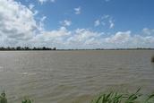 Schuilhut de Kluut (Lelystad)