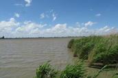 Schuilhut de Kluut (Lelystad)