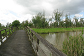 Zitje op de brug (Lelystad)