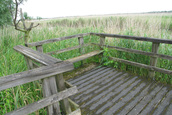 Zitje op de brug (Lelystad)