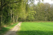 Glooiend landschap Hoog Oorsprong (Oosterbeek)