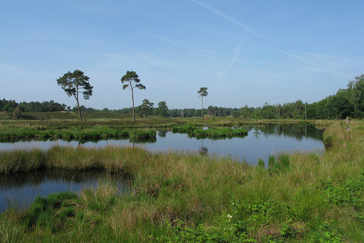 Uitzicht over de Hatertse Vennen