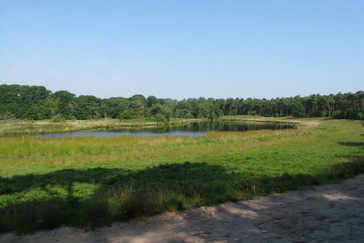 Gezicht op de Hatertse Vennen