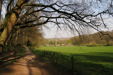 Uitzicht over het open landschap