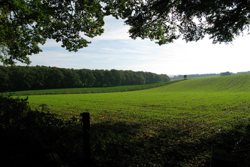 Vergezicht over de velden