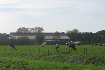 Landschap rondom Zyfflich