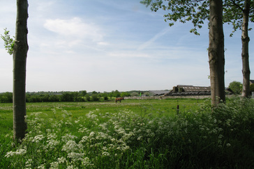 Landschap rondom Zyfflich