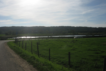 Natuurontwikkeling 't Zwanenbroekje