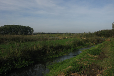 Vistrappen in de beek